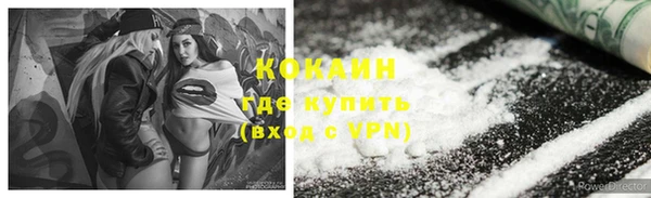 шишки Пересвет