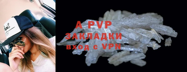 шишки Пересвет