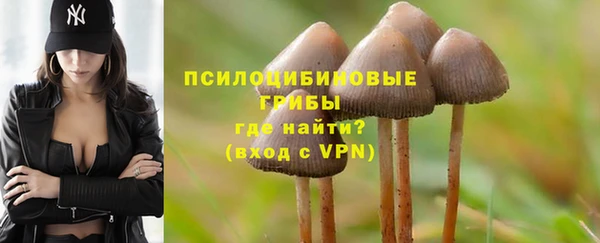 а пвп мука Пестово
