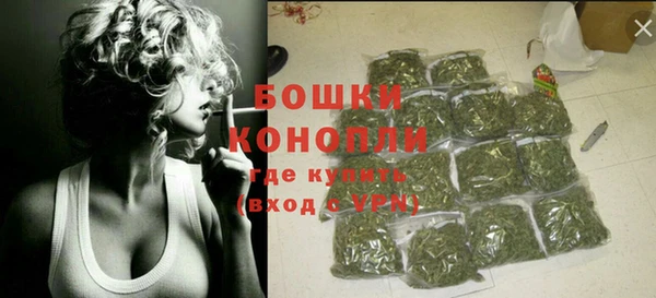 шишки Пересвет