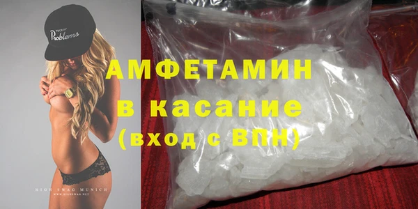 шишки Пересвет